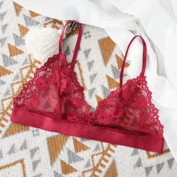Sexy Bra Lace Thin Underwear Unlined Transparent - Image 7